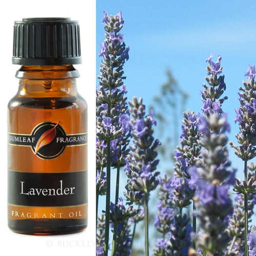 Lavender Fragrance Oil